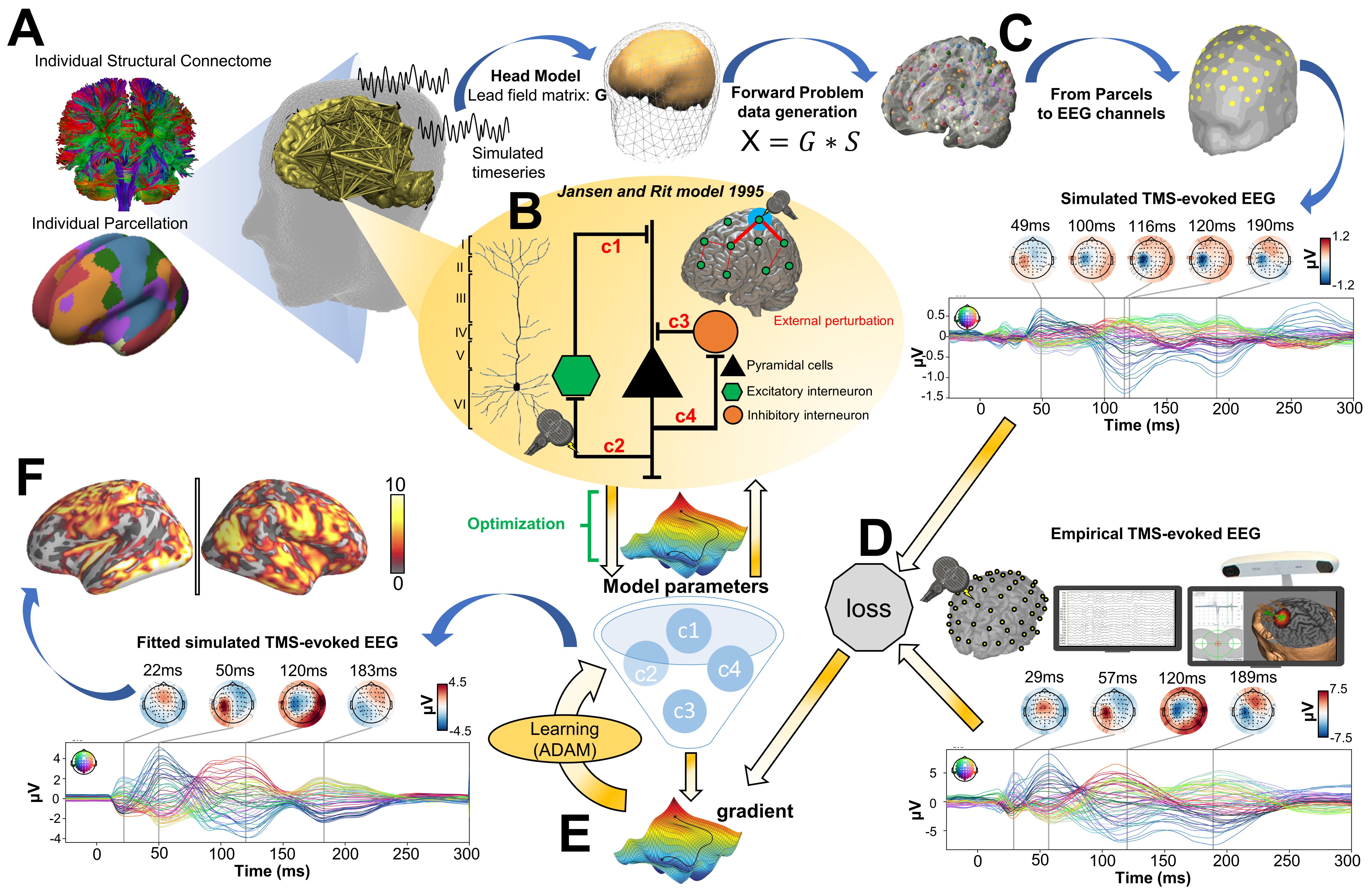 Momi 2023 Fig. 7